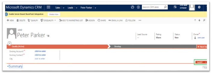 Business Process flow in CRM 2016