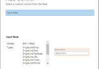 add the Input Mask control