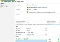 attribute type in Dynamics 365 Customer Engagement