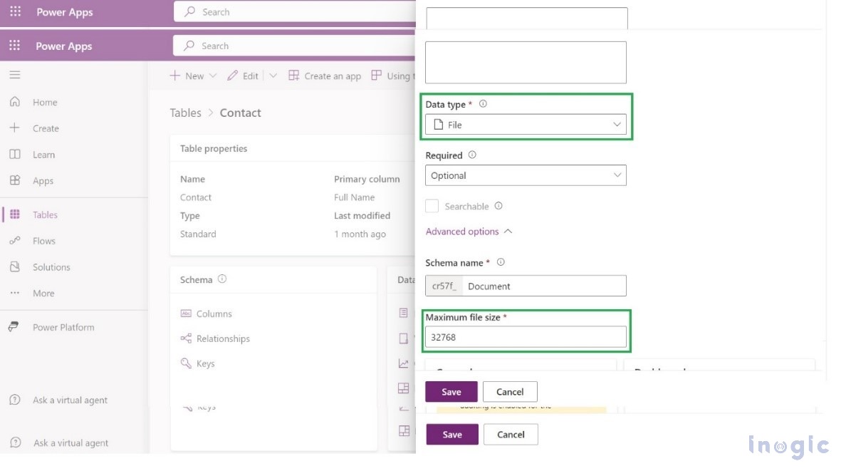 Canvas App within Dynamics 365