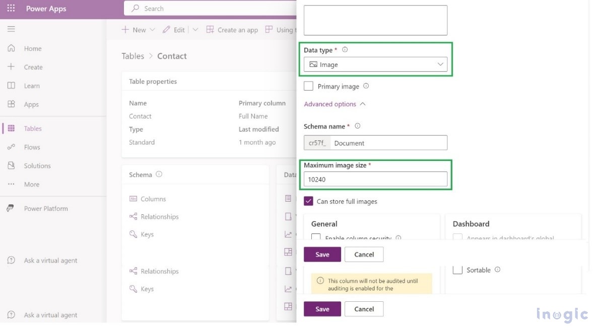 anvas App within Dynamics 365