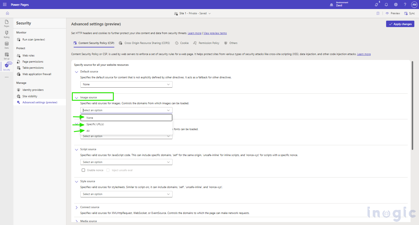 Advanced Settings in Power Pages