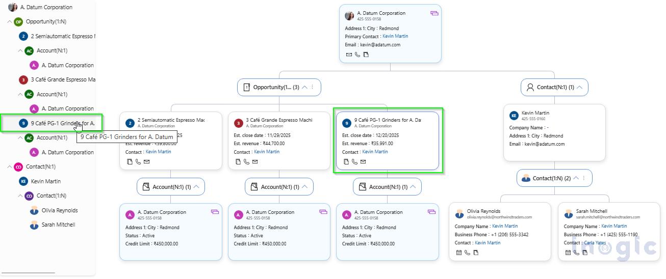 CRM Relationships Visualization