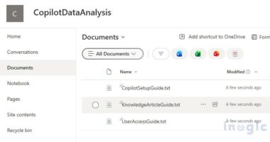 Enhancing Dynamics 365 Customer Service with Copilot Agent Management ...